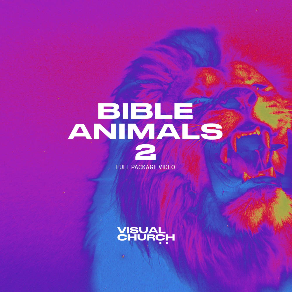 Bible Animals Vol 2