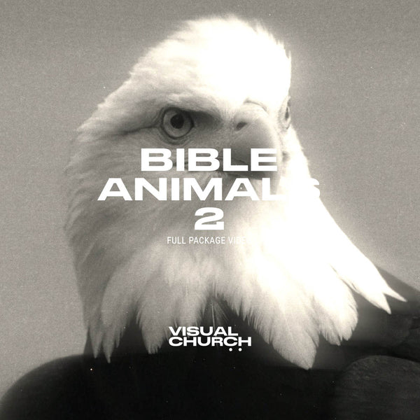 Bible Animals Vol 2